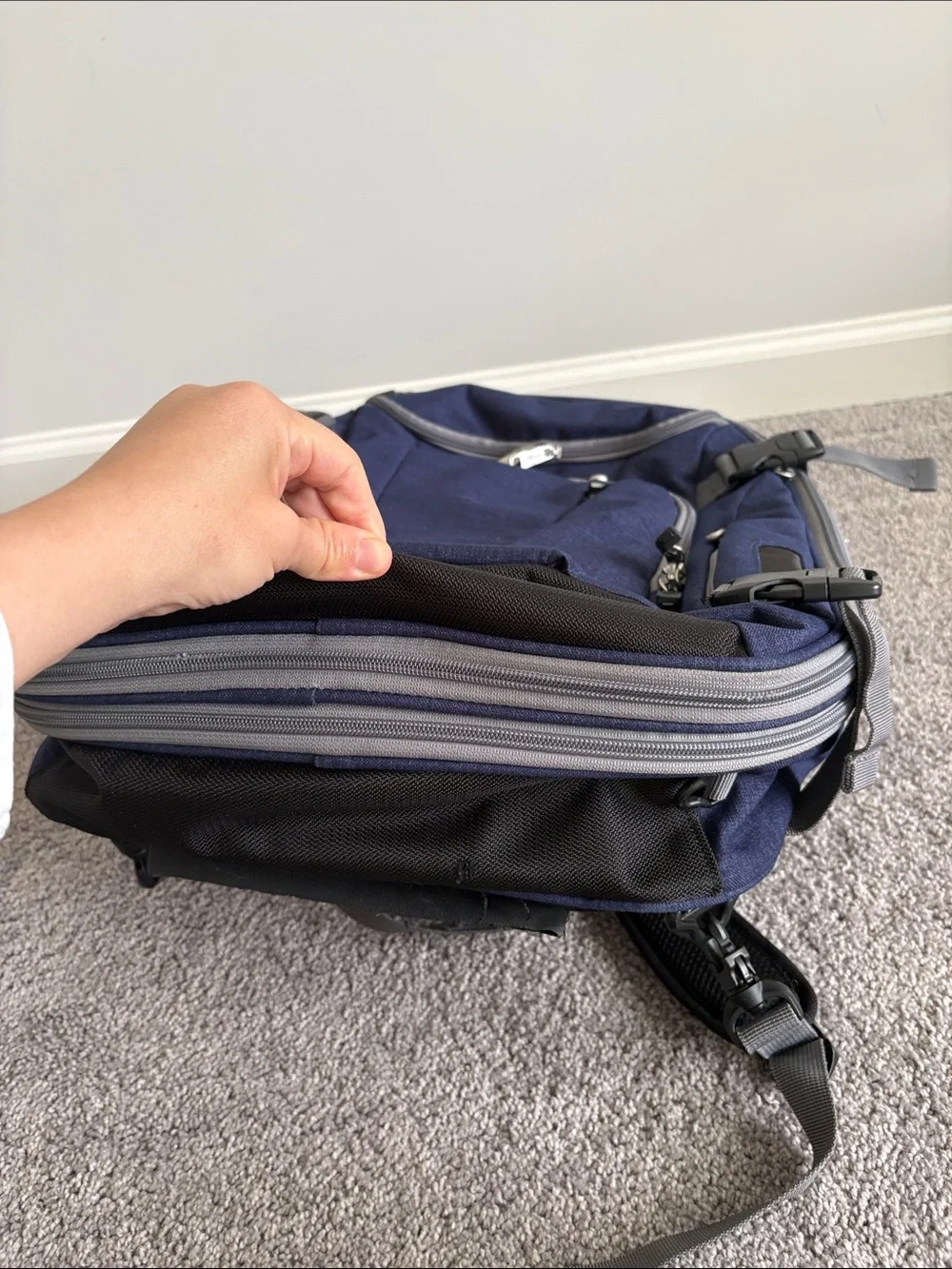 eBags Mother Lode Travel Backpack Convertible Expandable Luggage Bag